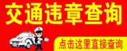 伊春違章查詢(xún)